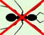 Ant Pest Control