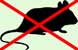 Mouse Pest Control