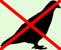Bird Pest Control