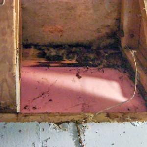 Wet-Insulation-350X350